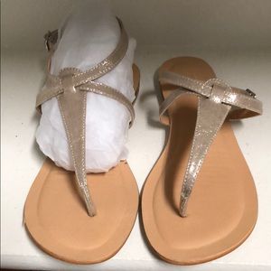 Ann Taylor Loft Thong Gladiator Sandal Gold 7.5